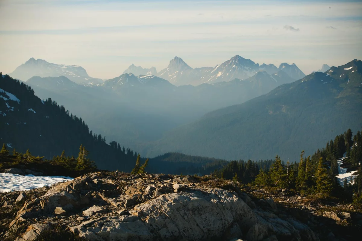 Pełny przewodnik po składnikach przeciwstarzeniowych: retinol, peptydy, bakuchiol i witamina C — jak je rozpoznawać w składach kosmetyków, bezpiecznie łączyć i które formuły wybrać dla swojej cery