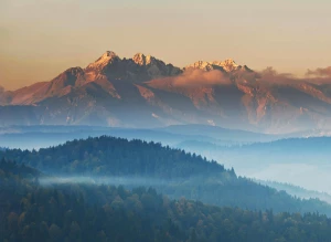 Czy stosować technologię to obowiązek?