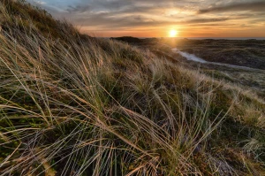 Krok Po Kroku Instrukcja Aby znaleźć ciekawe informacje