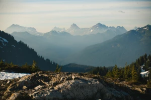 Pełny przewodnik po składnikach przeciwstarzeniowych: retinol, peptydy, bakuchiol i witamina C — jak je rozpoznawać w składach kosmetyków, bezpiecznie łączyć i które formuły wybrać dla swojej cery
